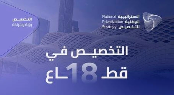 الكشف عن 18 قطاعاً مستهدفة بالتخصيص ضمن الاستراتيجية الوطنية الجديدة