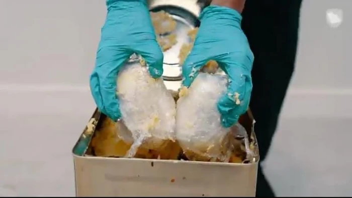 عُثر عليها مخبأة داخل مواد غذائية.. بالفيديو.. إحباط تهريب أكثر من 269 ألف حبة من الإمفيتامين المخدر في منفذ الحديثة