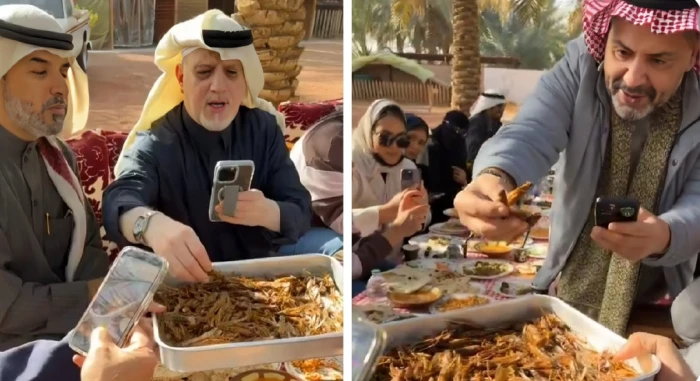 بالفيديو.. فنانون ومشاهير يتناولون الجراد في القصيم