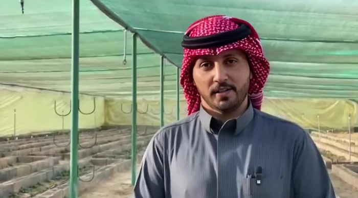 بالفيديو.. مزارع سعودي يكشف قصة زراعة 10 آلاف شتلة فراولة في محافظة طبرجل