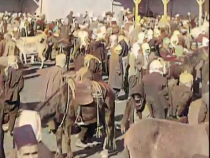 سوريا.. فيديو نادر يوثق لقطات من سوق لبيع الخيول في دمشق قبل 96 عامًا
