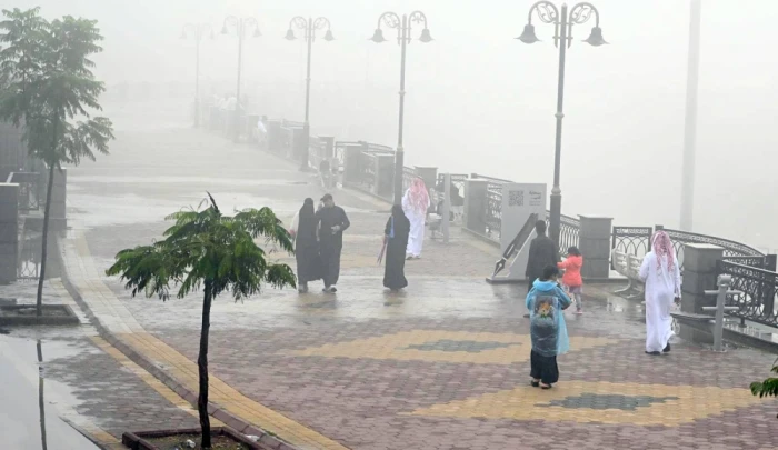 الأرصاد تكشف حالة الطقس المتوقعة خلال الساعات القادمة: أمطار وضباب على هذه المناطق!