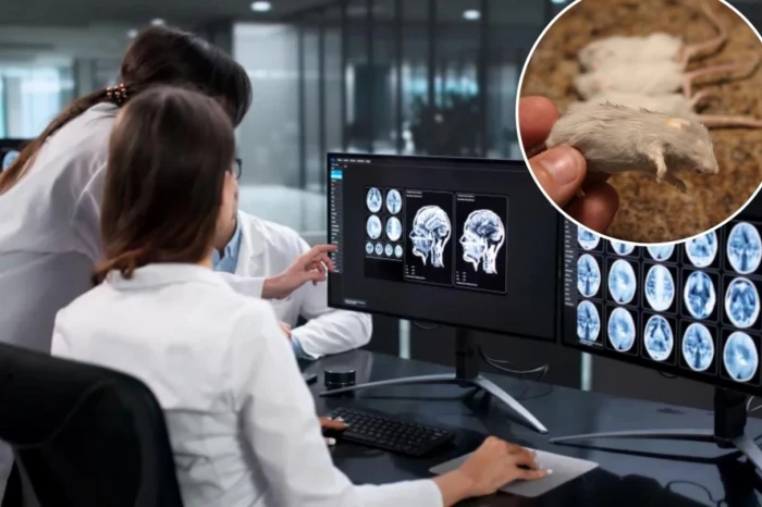 بعد تجميدها في النيتروجين السائل.. علماء يعيدون أنسجة دماغية للحياة