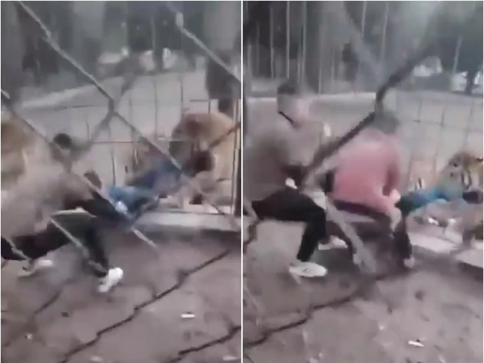 بالفيديو.. نمر يسحب قدم طفل من فتحات قفص حديدي ويحاول افتراسه داخل حديقة ببغداد