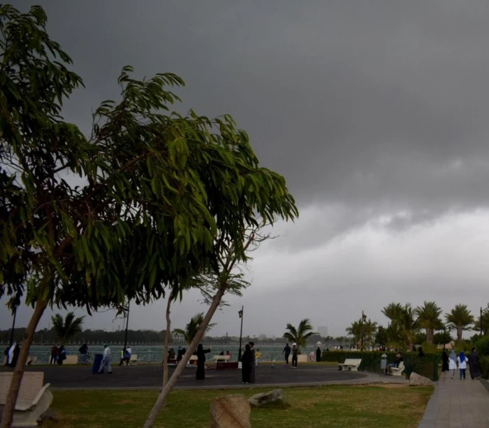 الأرصاد تكشف حالة الطقس المتوقعة اليوم: سحب ممطرة وضباب ورياح نشطة على هذه المناطق!