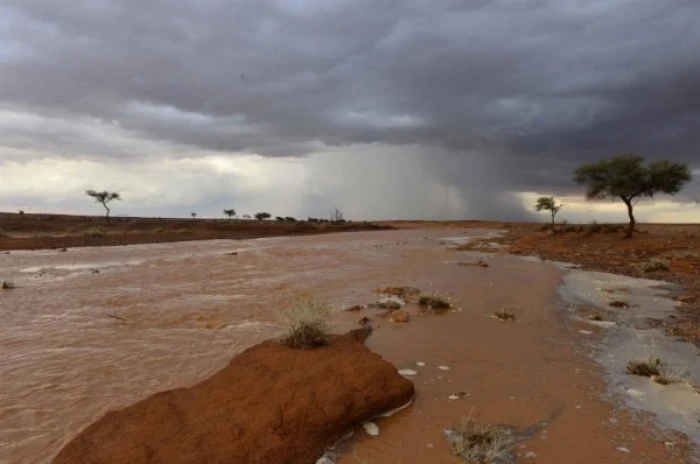 الأرصاد تكشف حالة الطقس المتوقعة اليوم: سحب ممطرة ورياح نشطة على هذه المناطق!