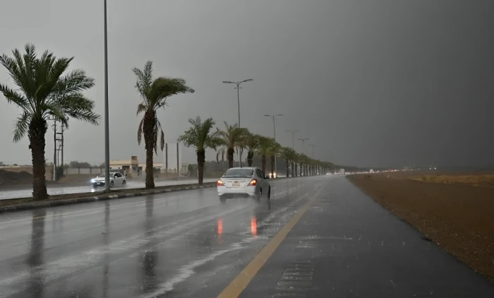 الأرصاد تكشف حالة الطقس المتوقعة اليوم: أمطار غزيرة تؤدي إلى جريان السيول على هذه المناطق!
