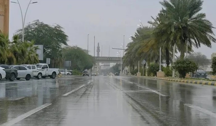 الأرصاد تكشف حالة الطقس المتوقعة اليوم: أمطار غزيرة تؤدي إلى جريان السيول على هذه المناطق!