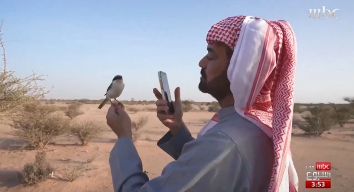 أسماه "زورو" وينادي عليه فيأتيه على الفور.. بالفيديو: صداقة عجيبة بين مواطن وطائر في منطقة الحوية بالطائف