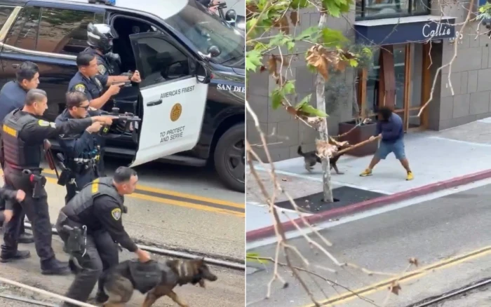 قوة مدججة بالأسلحة وكلب بوليسي .. بالفيديو:لحظة قبض الشرطة الأمريكية على مشرد يحمل عصا خشبية في سان دييغو