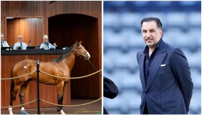 مقابل مبلغ قياسي.. رجل أعمال سعودي يشتري " مهر"  في مزاد خيول بأمريكا بأكثر من 10 ملايين دولار