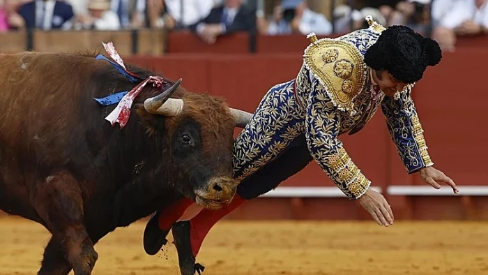 بالفيديو: مصارع ثيران يتعرض لإصابة خطيرة داخل حلبة في إسبانيا