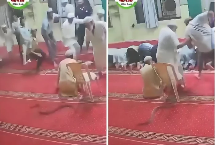 بالفيديو.. أفعى ضخمة تتسلل بين أقدام المصلين داخل مسجد وتثير فزعهم أثناء الصلاة