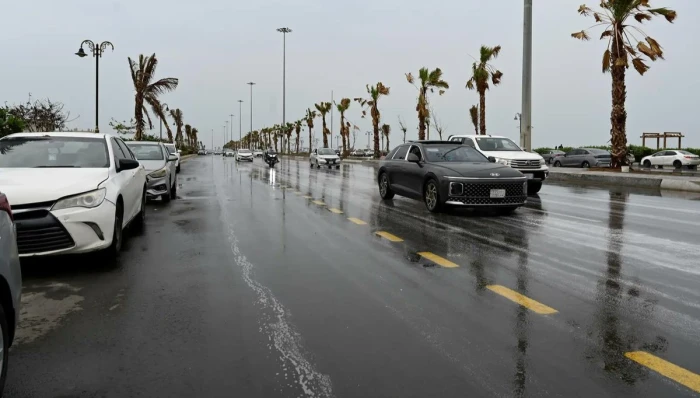 الأرصاد تكشف حالة الطقس المتوقعة اليوم: أمطار رعدية وزخات برد على هذه المناطق!