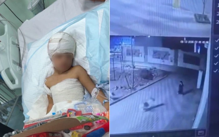 بالفيديو: كلاب ضالة  تحاول افتراس طفل بمحافظة طريف ونقله للمستشفى بعد تعرضه لإصابات بالغة