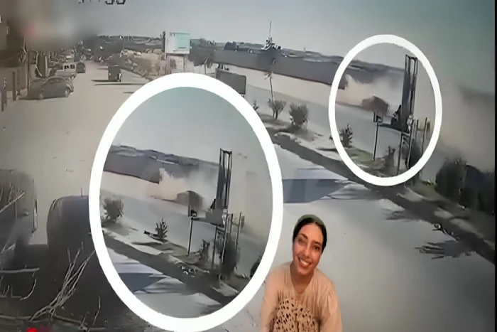 بالفيديو.. لحظة دهس بائعة الشاي في حدائق الأهرام بمصر