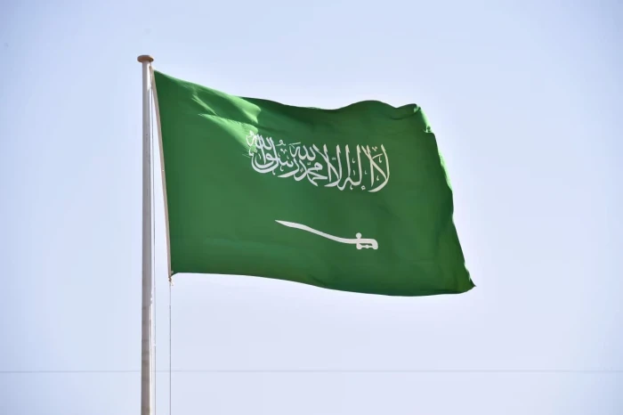 بيان من المملكة بشأن التوغلات الإسرائيلية داخل أراضي سوريا
