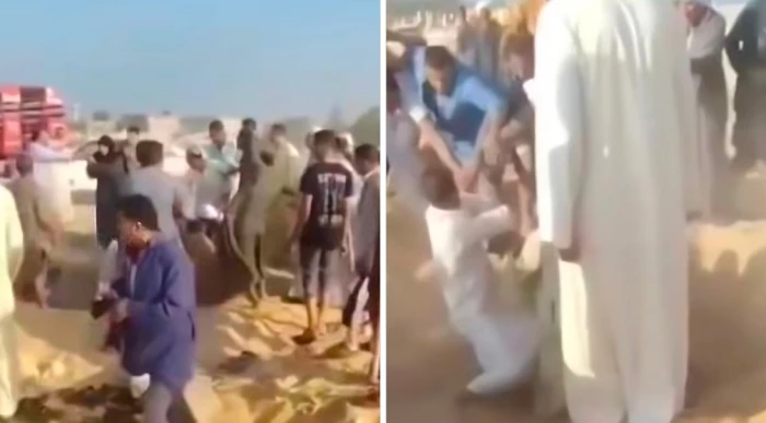 أثناء دفن متوفى… بالفيديو : مشاجرة بين أهالي قريتين داخل مقبرة  في مصر والكشف عن السبب