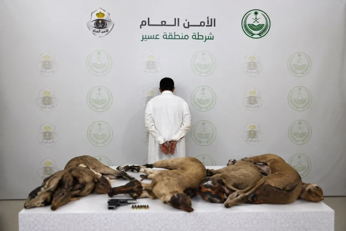 غرامتها أكثر من 75  ألف ريال.. تفاصيل القبض والتشهير باسم  مواطن اصطاد وعول في عسير