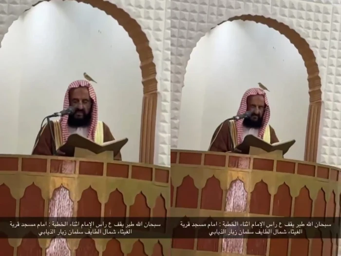 بالفيديو: موقف طريف لطائر يستقر فوق رأس خطيب الجمعة بأحد مساجد الطائف