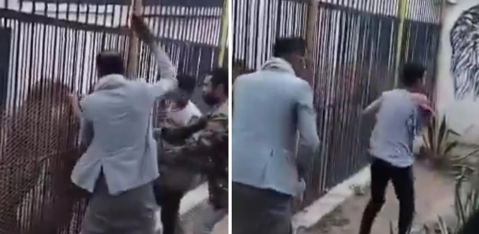 «أين يدي؟».. بالفيديو: نمر ينقض على طفل داخل حديقة حيوان بصنعاء ويتسبب في بتر يده