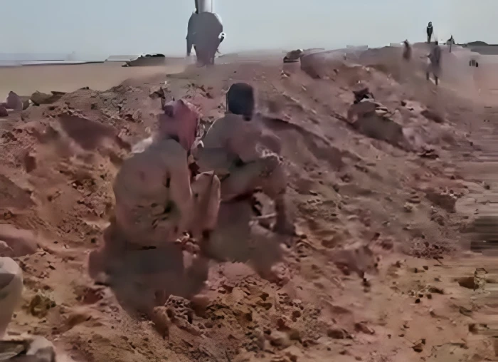 بالفيديو.. القوات المسلحة اليمنية تحرر «تبة المصارية» غرب مأرب من ميليشيا الحوثي