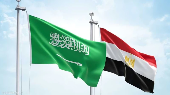 بيان مصري بشأن إطلاق ميليشيا الحوثي الإرهابية صاروخ باليستي باتجاه الرياض