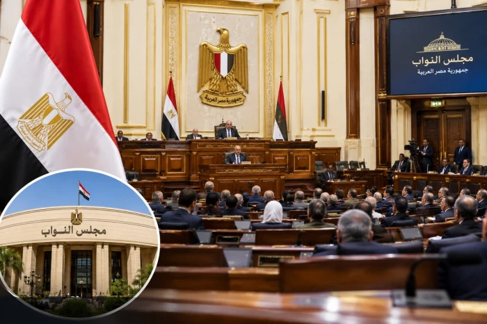 قرار جديد من مجلس النواب المصري بشأن الجلسة الطارئة لمناقشة إرسال قوات مصرية إلى السعودية