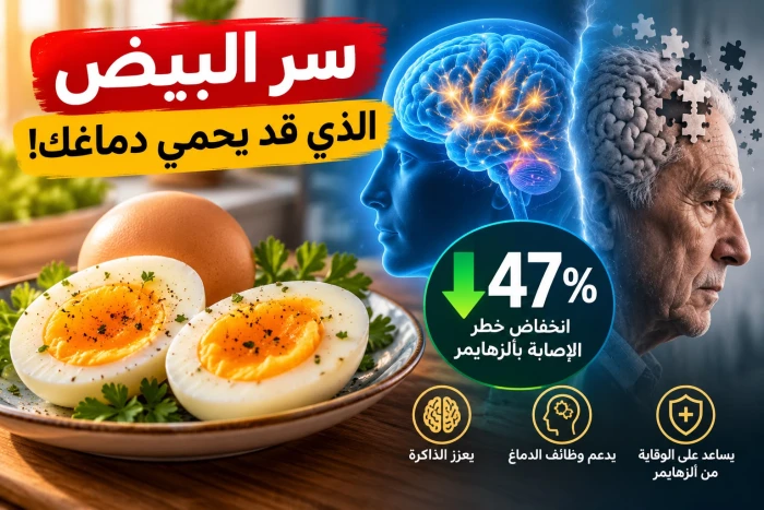 نتائج دراسة علمية تكشف مفاجأة بشأن تناول بيضتين أسبوعيًا.. وعلاقتهما بخطر الإصابة بألزهايمر