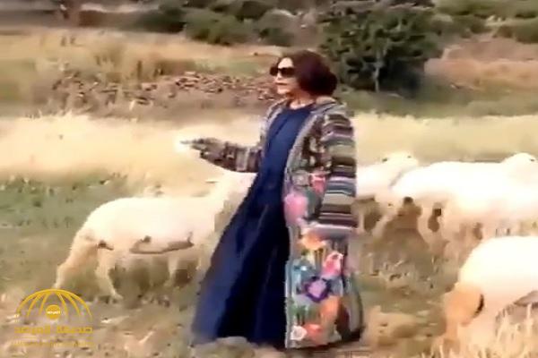 شاهد .. أحلام ترعى الأغنام في جبال السودة