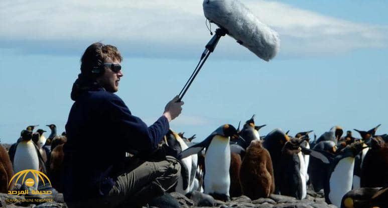 دب أسود يفترس فنان فرنسي أثناء نومه ويسحب جثته بعيدا