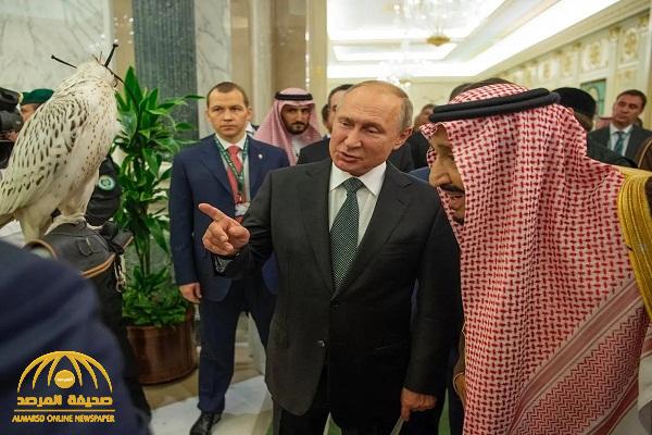 الكشف عن فصيل ونوع الصقر الروسي النادر الذي أهداه "بوتين" لـ"خادم الحرمين" - فيديو