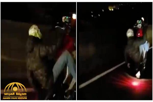 مرور العاصمة المقدسة يكشف حقيقة مقطع دهس صاحب دباب على طريق الهدا النازل