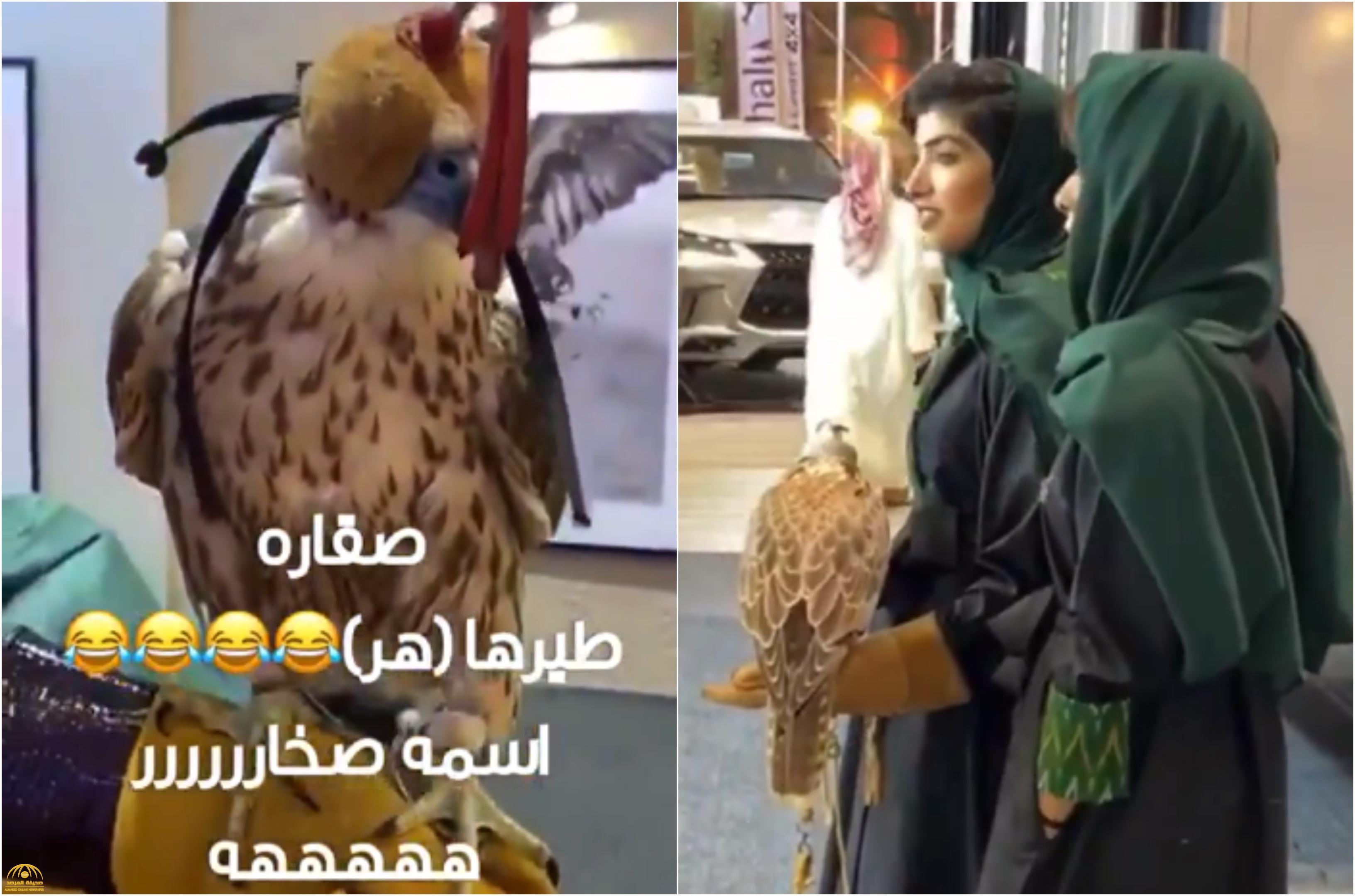شاهد: الصقارة "مريم العتيبي" تقتني صقراً من معرض الصقور والسلاح.. وسخرية بسبب نطقها لاسمه ونوعه!