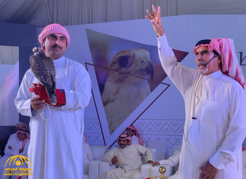 شاهد: بيع صقر "شاهين" في مزاد بحفر الباطن بمبلغ  صادم!