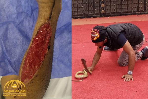 شاهد.. ماذا فعلت حية "كوبرا" في يد مدرب ثعابين في عسير؟!