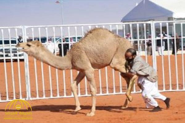 بالصور : شاهد ..  جولة  جديدة  من مسابقة "القعود قعودك لاطرحته" .. والقحطاني يحقق مفاجأة !