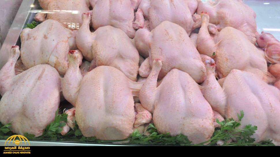 حقيقة حقن الدجاج بهرمونات مسببة للبرود الجنسي