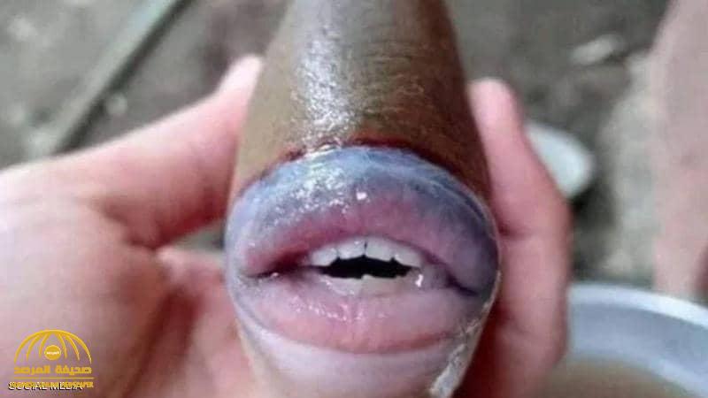 أثارت دهشة الملايين.. العثور على سمكة تمتلك وجه يشبه الإنسان!