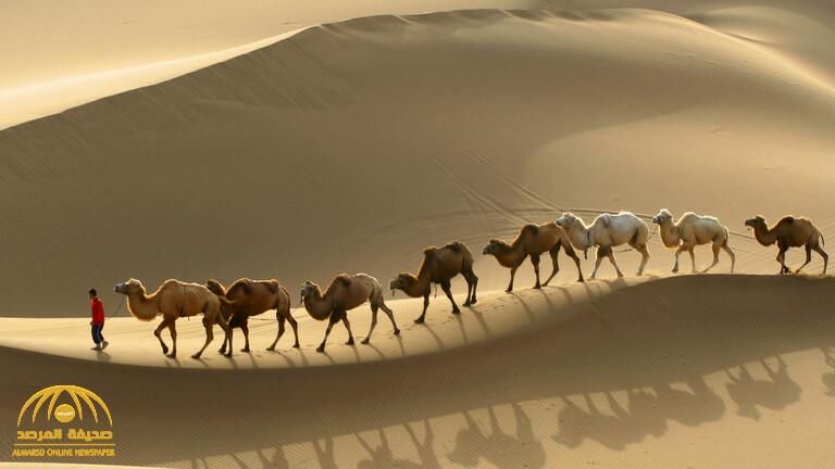 "عاش في أفقر بقاع الأرض حاليا".. تعرف على قصة "مانسا موسى" أغنى رجل في التاريخ.. وما حدث أثناء رحلته للحج !