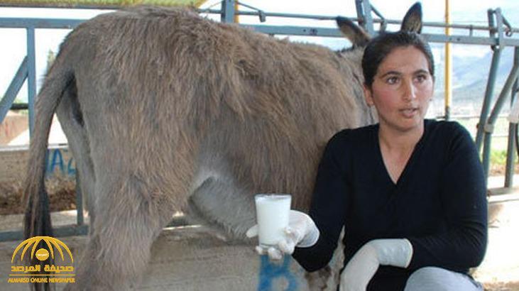 امرأة تركية تناولت "حليب الحمير" .. وبعد 5 دقائق حدثت المفاجأة !