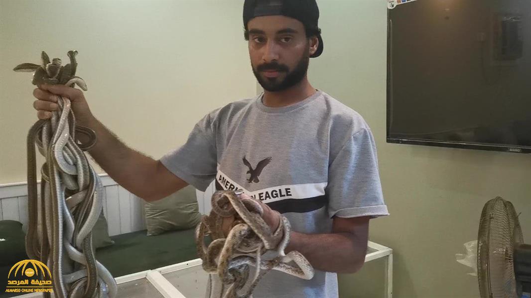 "يمتلك 100 ثعبان".. قصة عجيبة لشاب سعودي يعيش مع أخطر أنواع الثعابين والتماسيح - صور