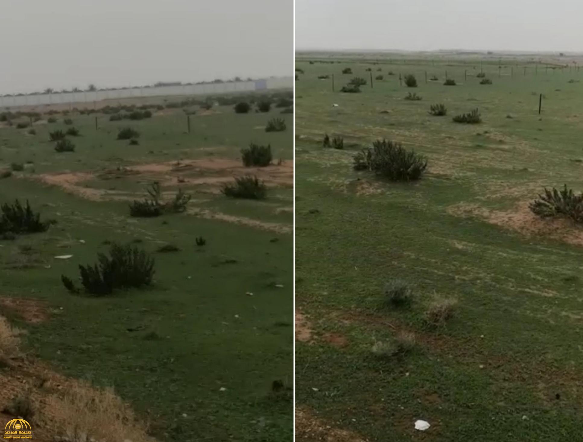 شاهد: مراسلنا يوثق منظر طبيعي عند مدخل القصب.. ويعلق: "كأنك في الريف الإنجليزي"