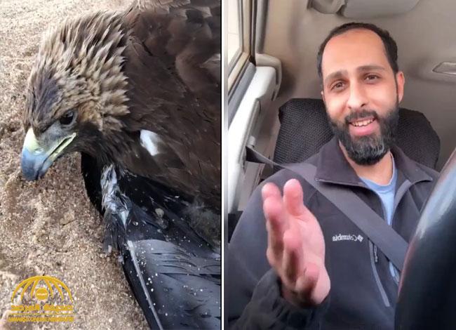 شاهد: مصور سعودي يوثق لحظة عثوره على "عقاب ذهبي" على وشك الموت في الصحراء