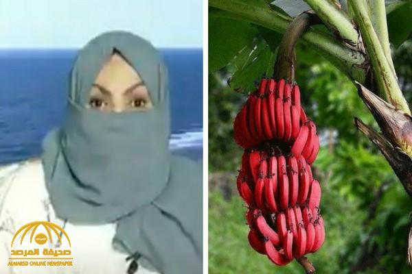 شاهد: سعودية تكشف عن تجربتها في زراعة الموز الأحمر بجازان.. وتوضح ما ينقصها لدعم مشروعها!