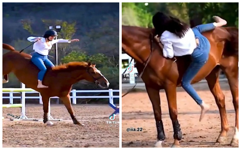 شاهد.. فتاة حسناء تستعرض مهاراتها في ركوب الخيل والقفز دون "لجام"