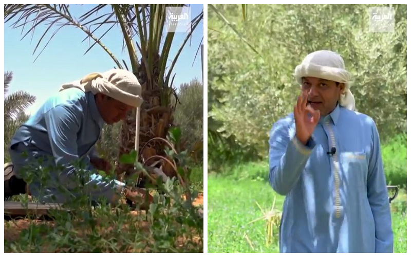 الزعاق يتوقع غرة ذي الحجة ويوم عرفة وعيد الأضحى