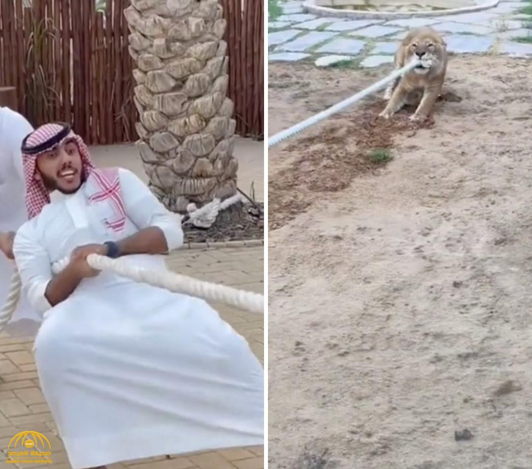 شاهد.. أسامة الدغيري يتحدى أسد في شد الحبل