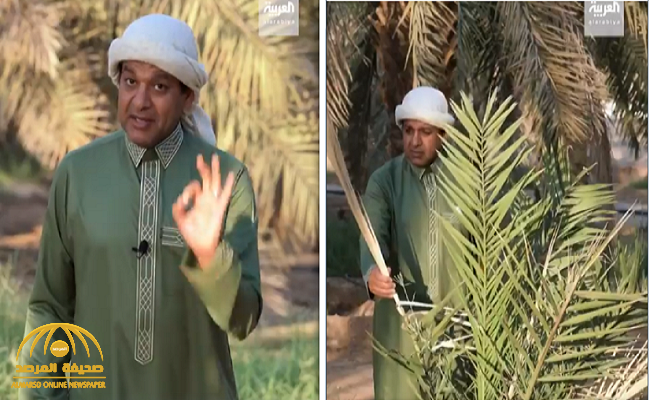 شاهد.. الزعاق يكشف سبب تسمية النجم "سهيل" بهذا الأسم .. وسر استبشار العرب  عند ظهوره !