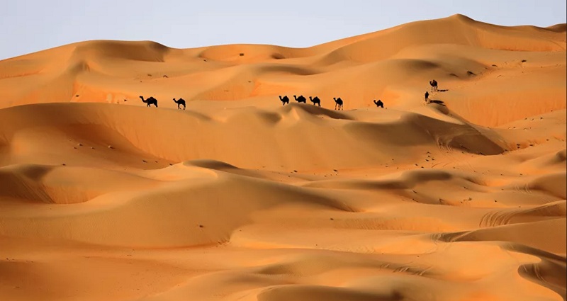 دراسة تُفجِّر مفاجأة بشأن شبه الجزيرة العربية: هذا ما كانت عليه المناطق الصحراوية في السعودية قبل 400 ألف سنة